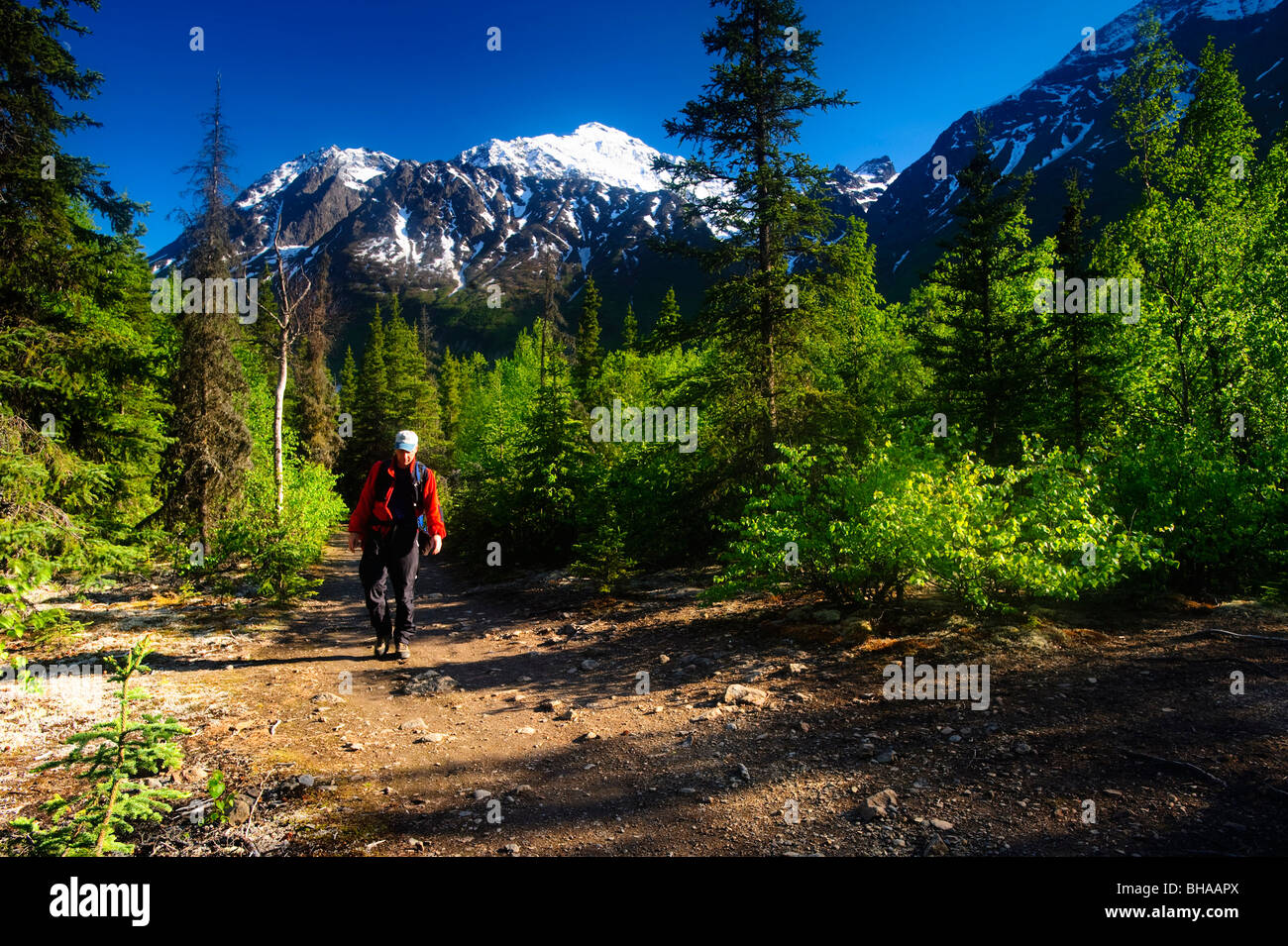 Hiker on the Crow Pass Trail near Eagle River, Chugach State Park, Southcentral Alaska, Summer Stock Photo