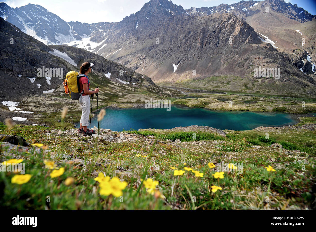 Hiker overlooks Williwaw Lakes, Chugach State Park, near Anchorage, Southcentral Alaska, Summer Stock Photo