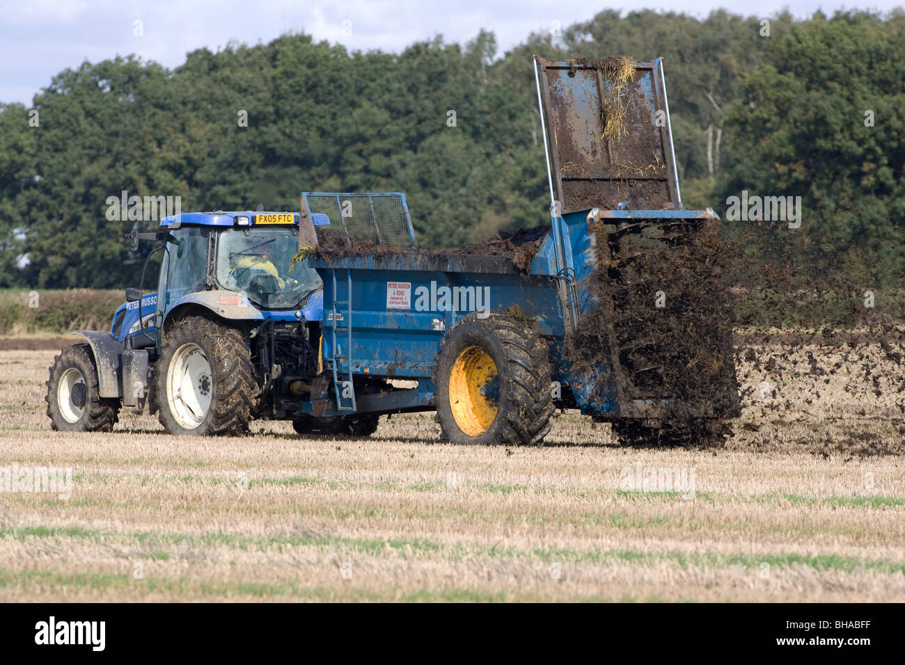 Farm yard manure being spread on stubble land Stock Photo Alamy