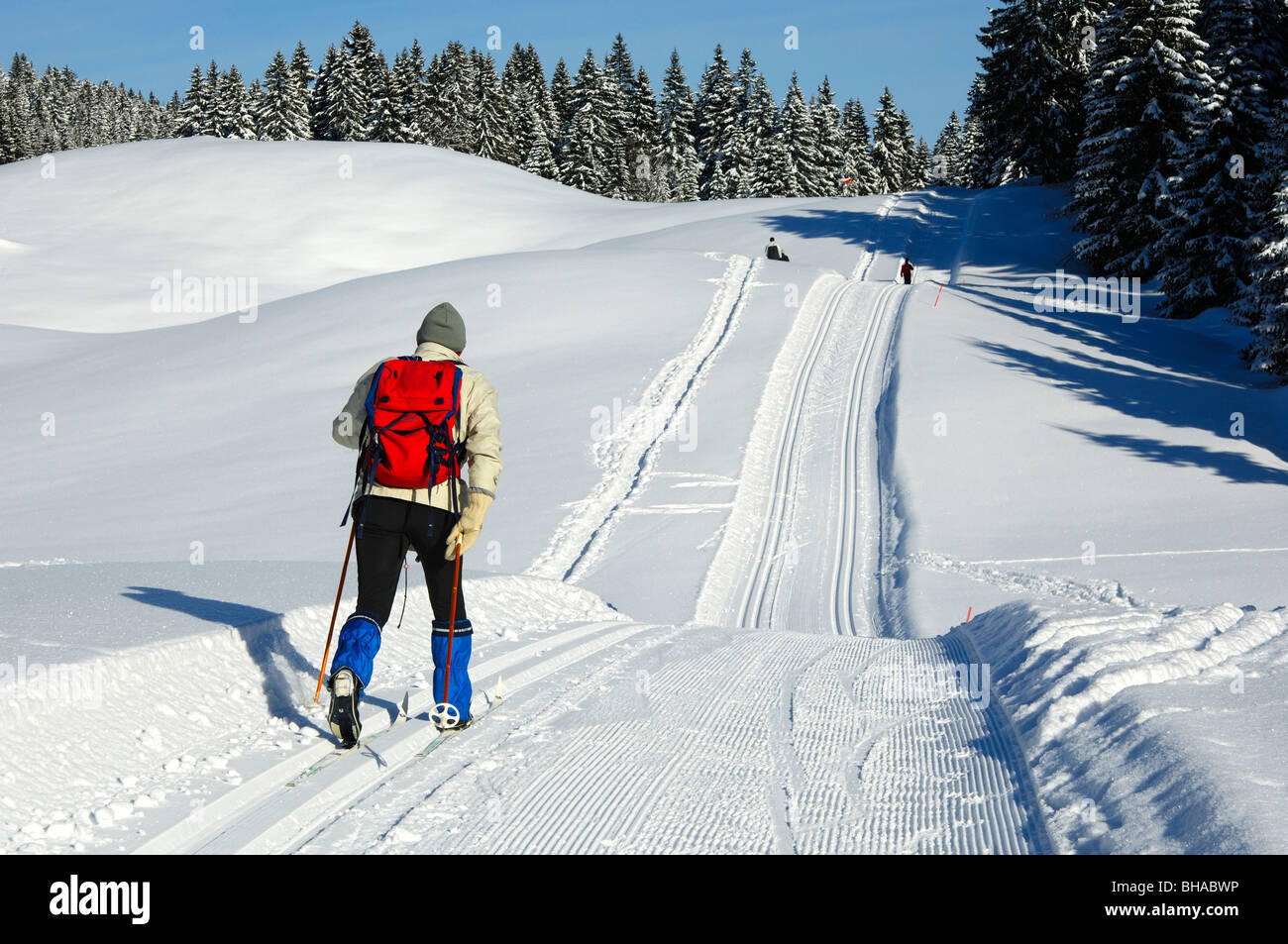 Skier on a cross-country skiing tour in a winter landscape, Jura region, Switzerland Stock Photo
