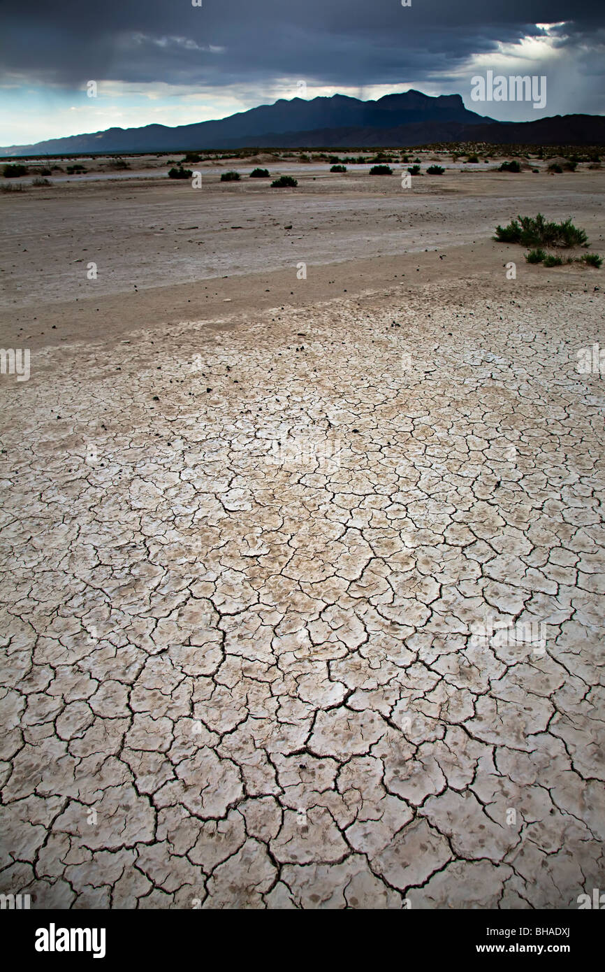 Dried salt flats Linda Lake Salt Basin and Guadalupe Mountains Texas