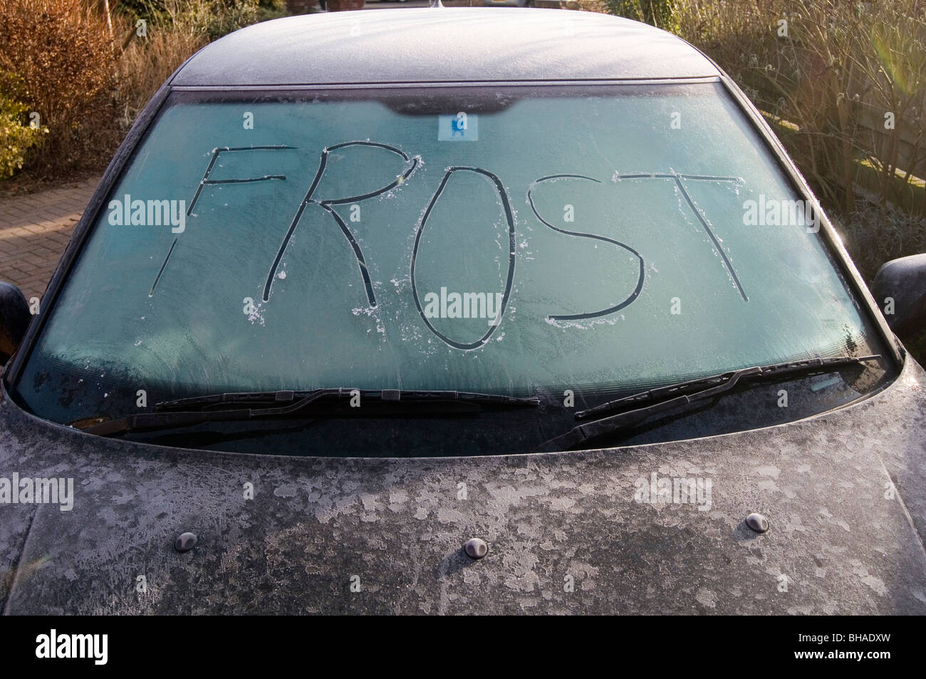 frost frosty morning mornings winter wintery cold freezing freeze big