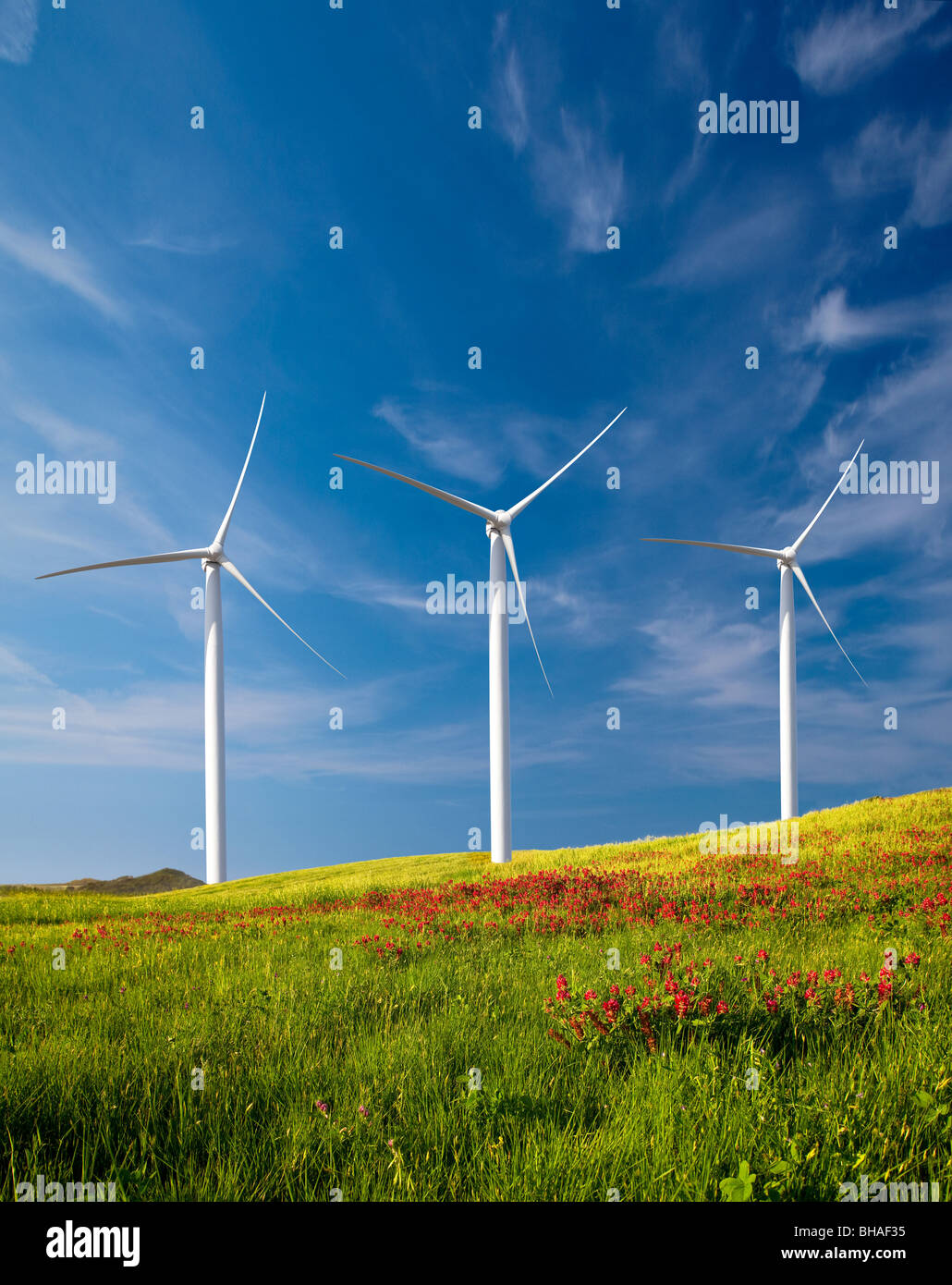 Beautiful green meadow with Wind turbines generating electricity Stock Photo