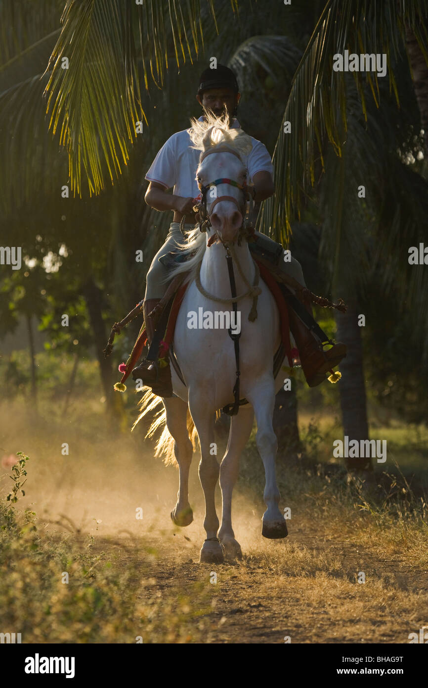 Police horse costume tradition India force Gujarat Stock Photo