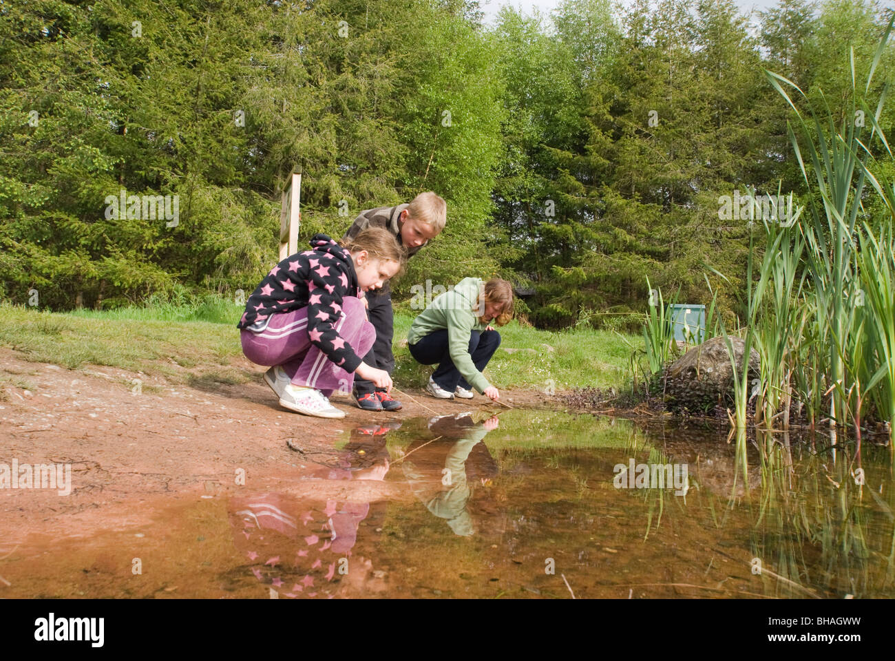 Children examine nature in a pond Stock Photo
