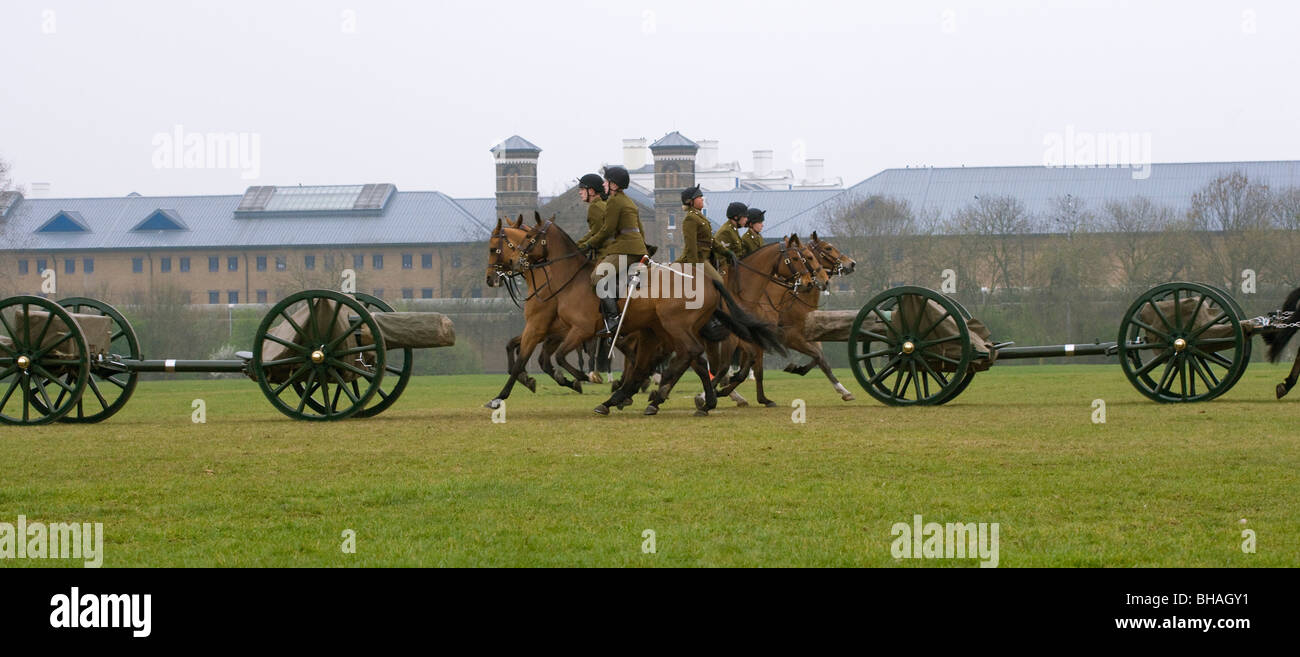 King's Troop Royal Horse Artillery England army Stock Photo
