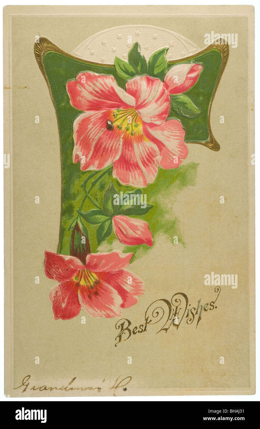 Vintage post card with Best Wishes greeting and pink blossoms Stock Photo