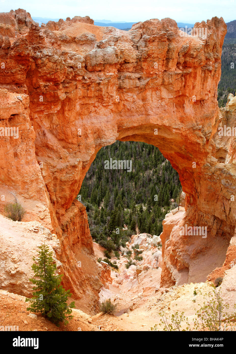 Natural Arch, Bryce Canyon National Park, Utah, U.S.A. Stock Photo