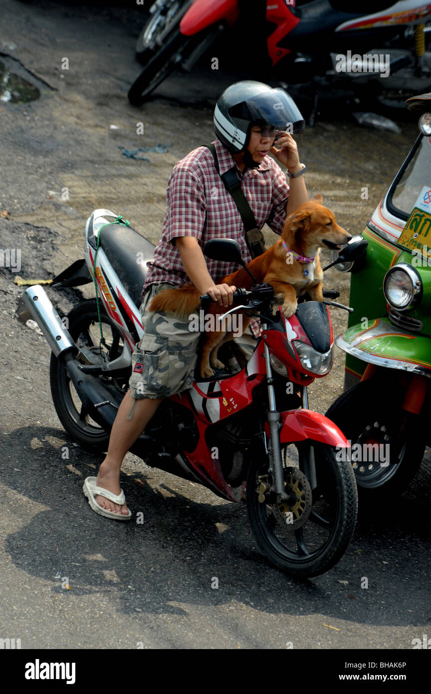 Dog on the motorbike while the owner is talking on mobile phone, klongtoei, klongtoey, Bangkok,Thailand. Stock Photo