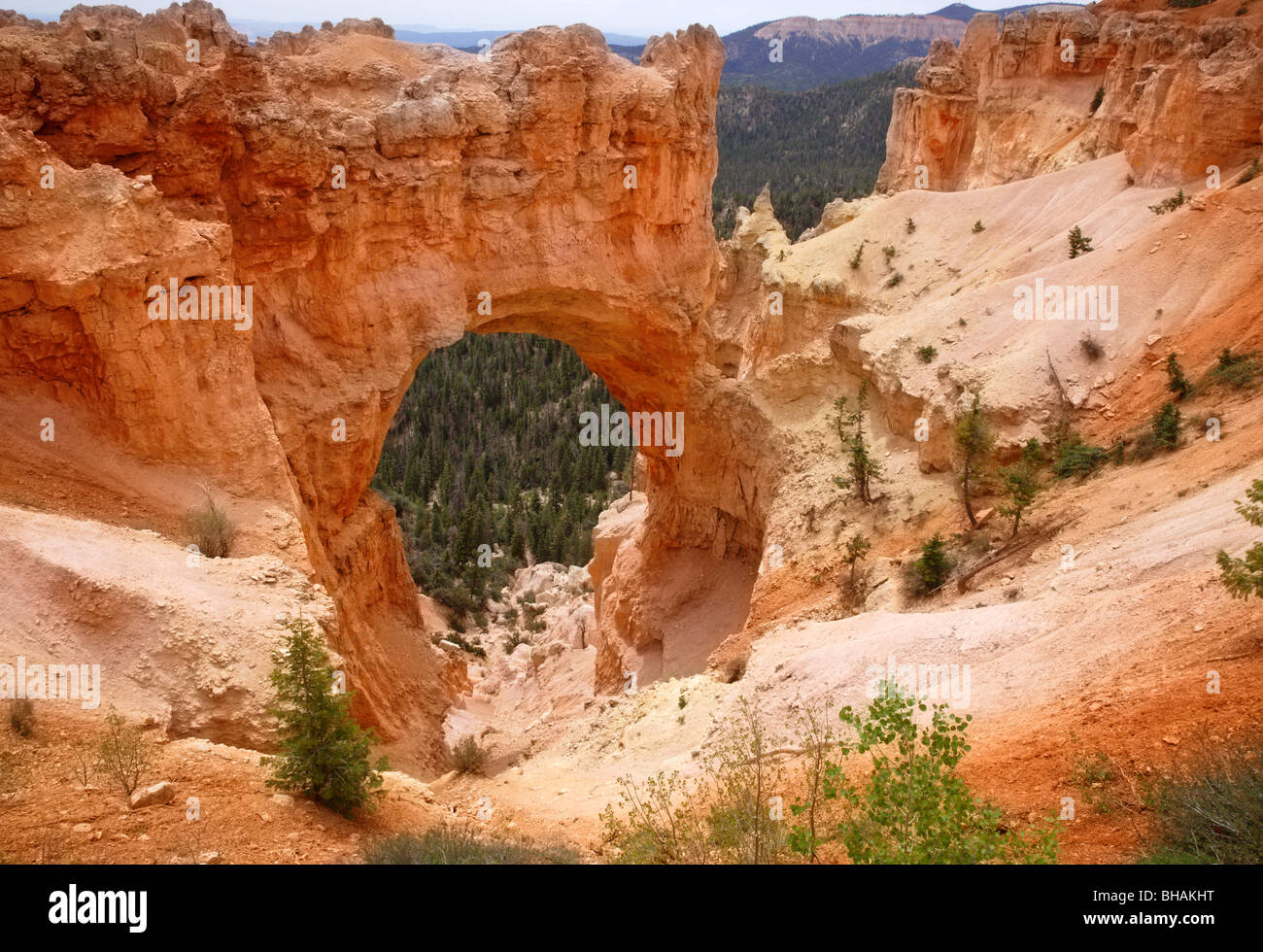 Red rocks forming natural arch in Bryce Canyon National Park, Utah, U.S.A. Stock Photo