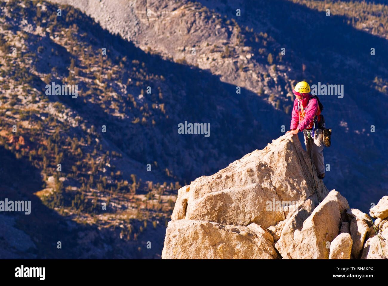 Bear Climbing Usa Rocks Hi res Stock Photography And Images Alamy