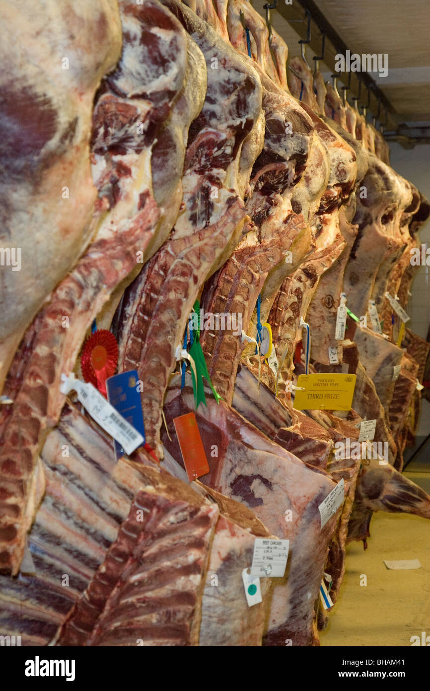 Beef Carcasses in a carcass show Stock Photo