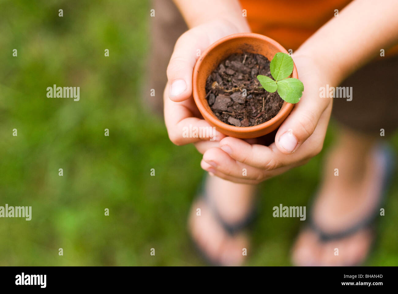 boy holding potted plant Stock Photo - Alamy