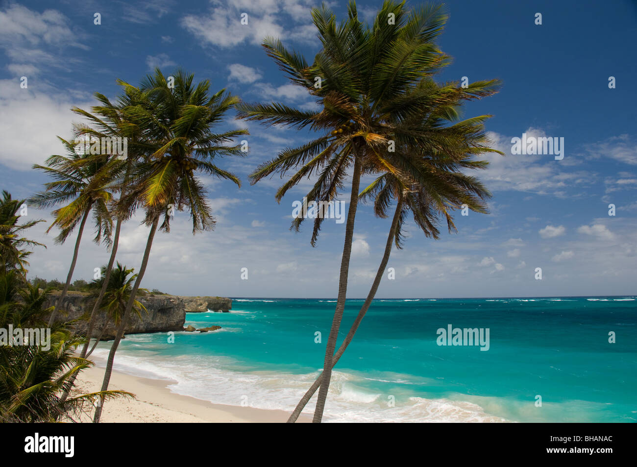 Aqua colored sea and palm trees at Bottom Bay Beach on the east coast of Barbados in the Caribbean Islands Stock Photo