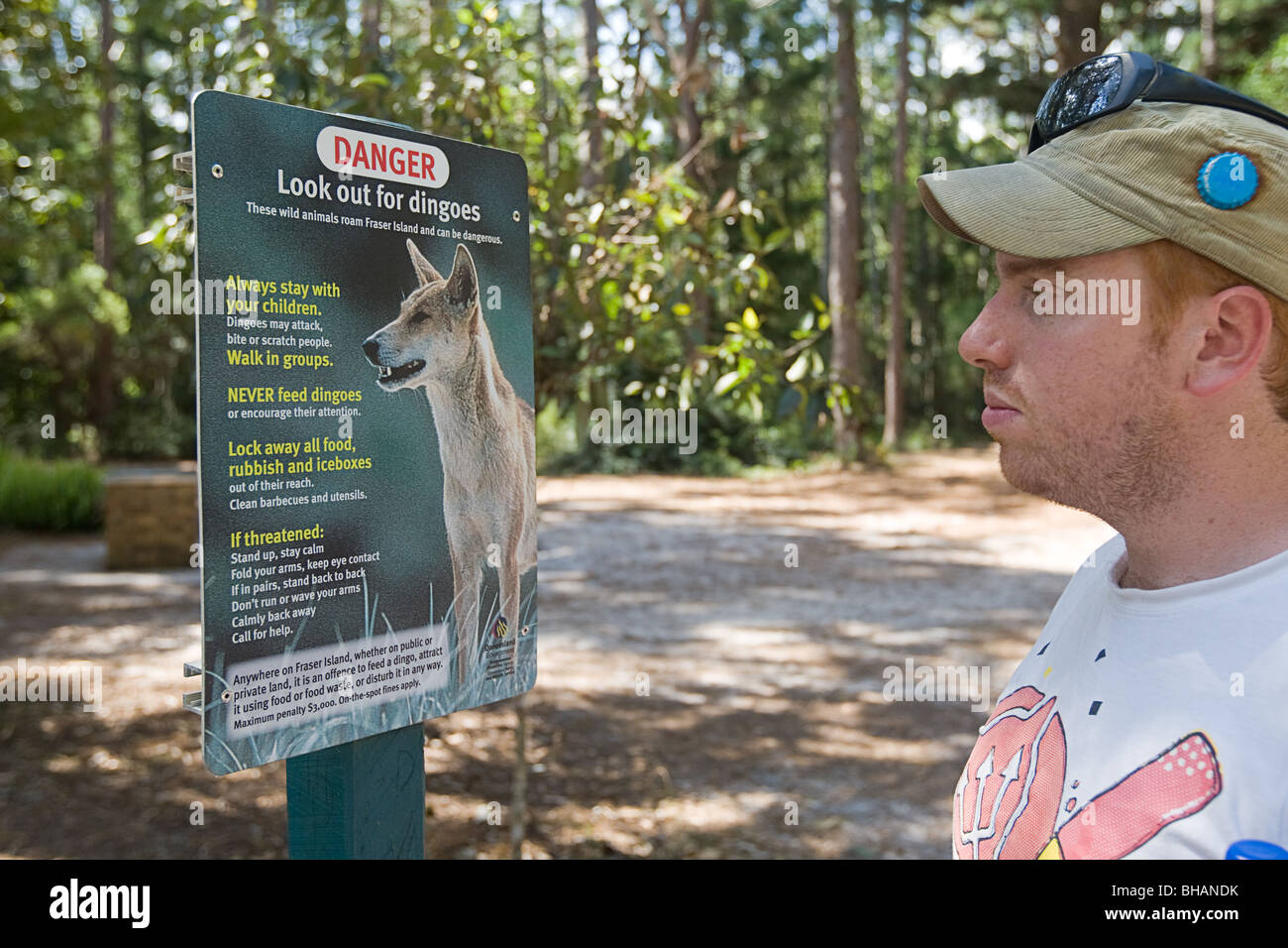 Tourist Reading the Beware of the Dingos Sign on Fraser Island, Queensland, Australia Stock Photo