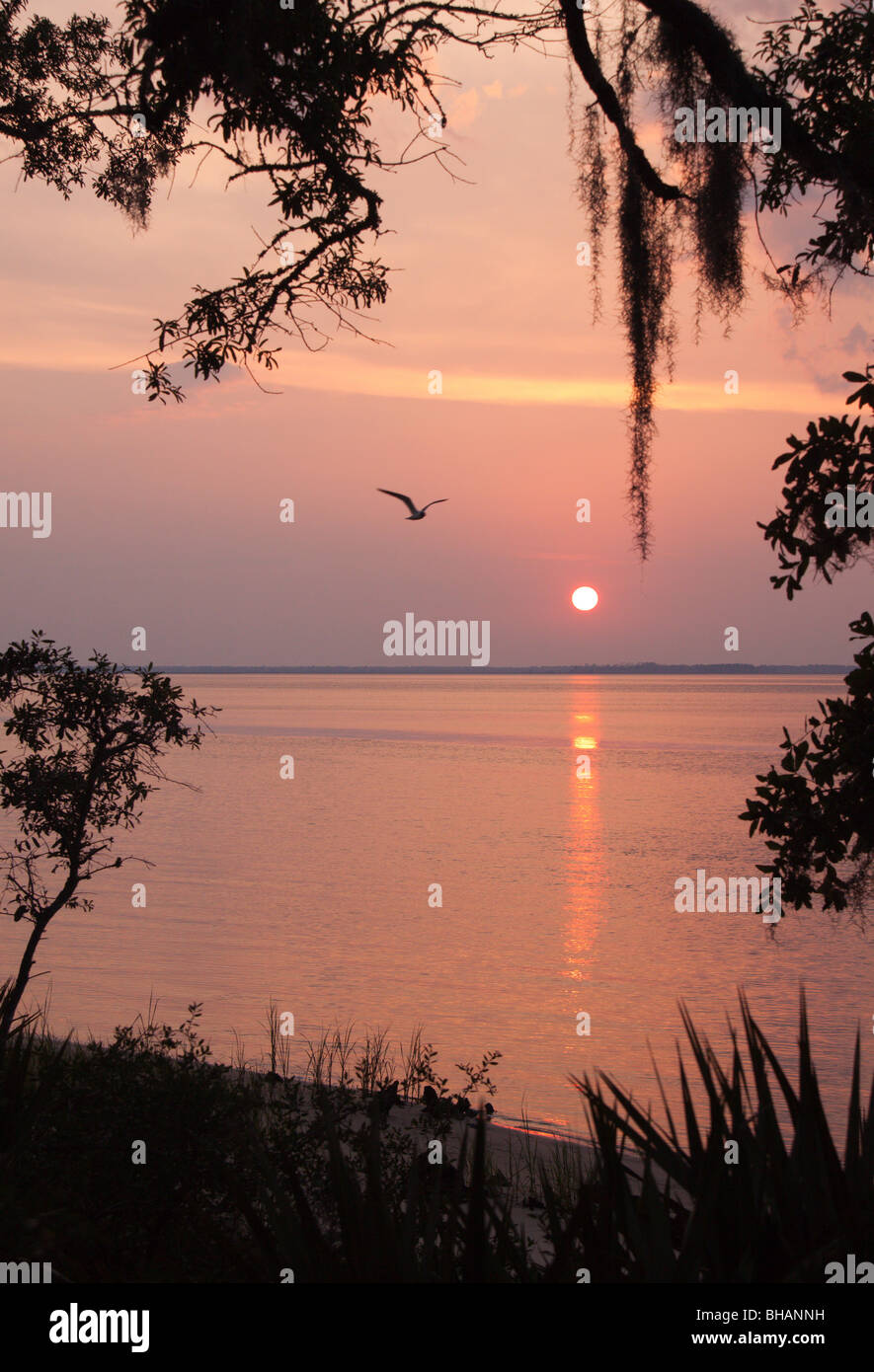 Ochlockonee hires stock photography and images Alamy