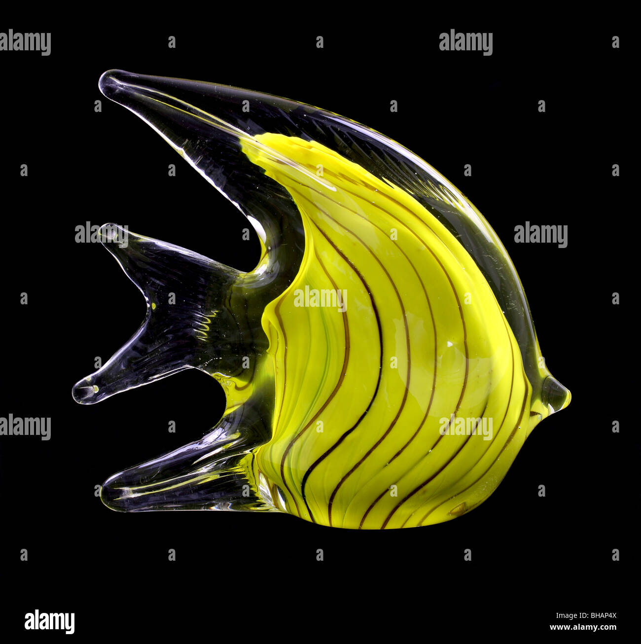 Yellow glass stripped fish Stock Photo Alamy
