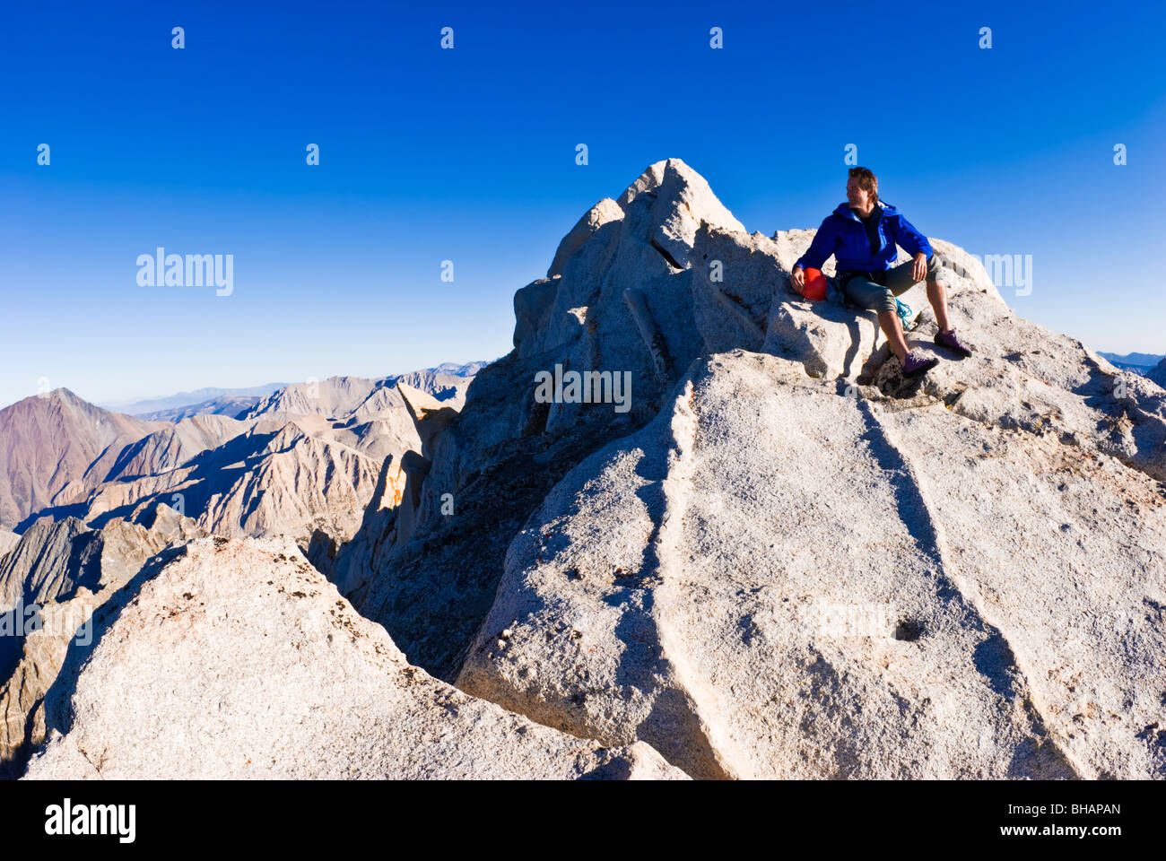 Bear Climbing Usa Rocks Hi res Stock Photography And Images Alamy