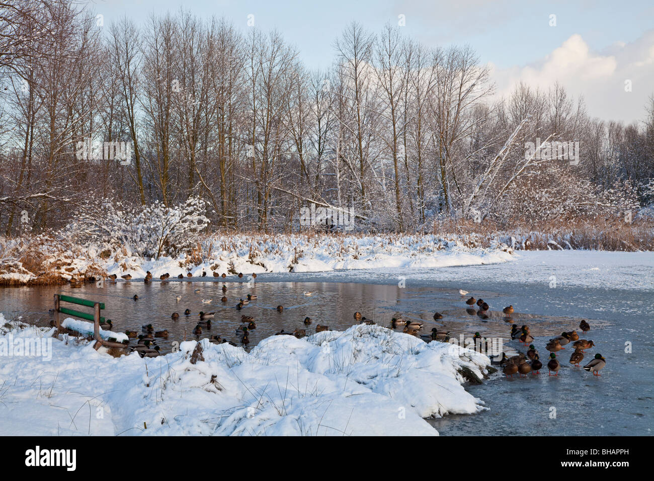South kirkby hires stock photography and images Alamy