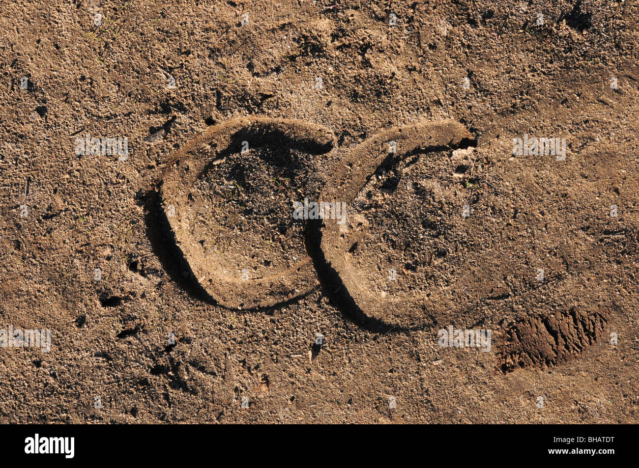 Tracks from the shoes of a horse make an imprint on a trail along the Rillito River, Tucson, Arizona, USA. Stock Photo