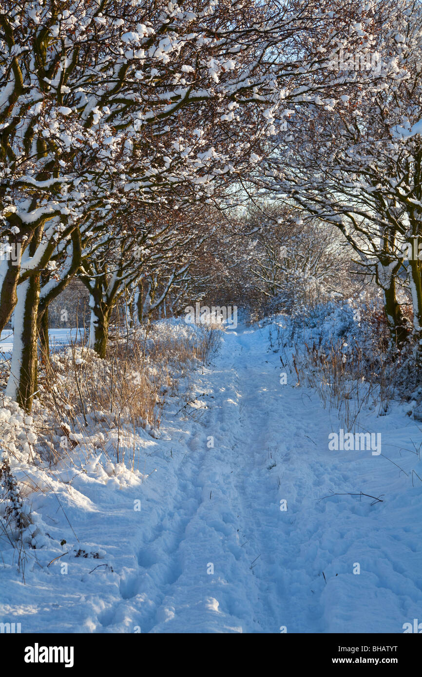 Snow covered Long Dam lane near Ryhill, West Yorkshire Stock Photo Alamy