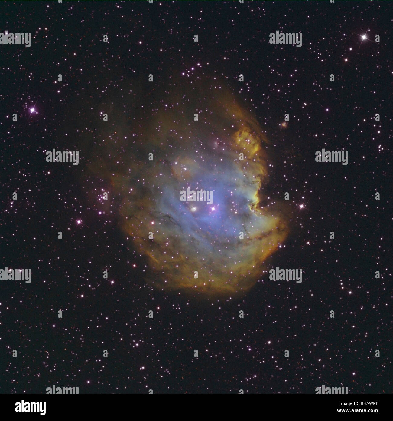 NGC 2174, The Monkey’s Head Nebula in Gemini. Stock Photo