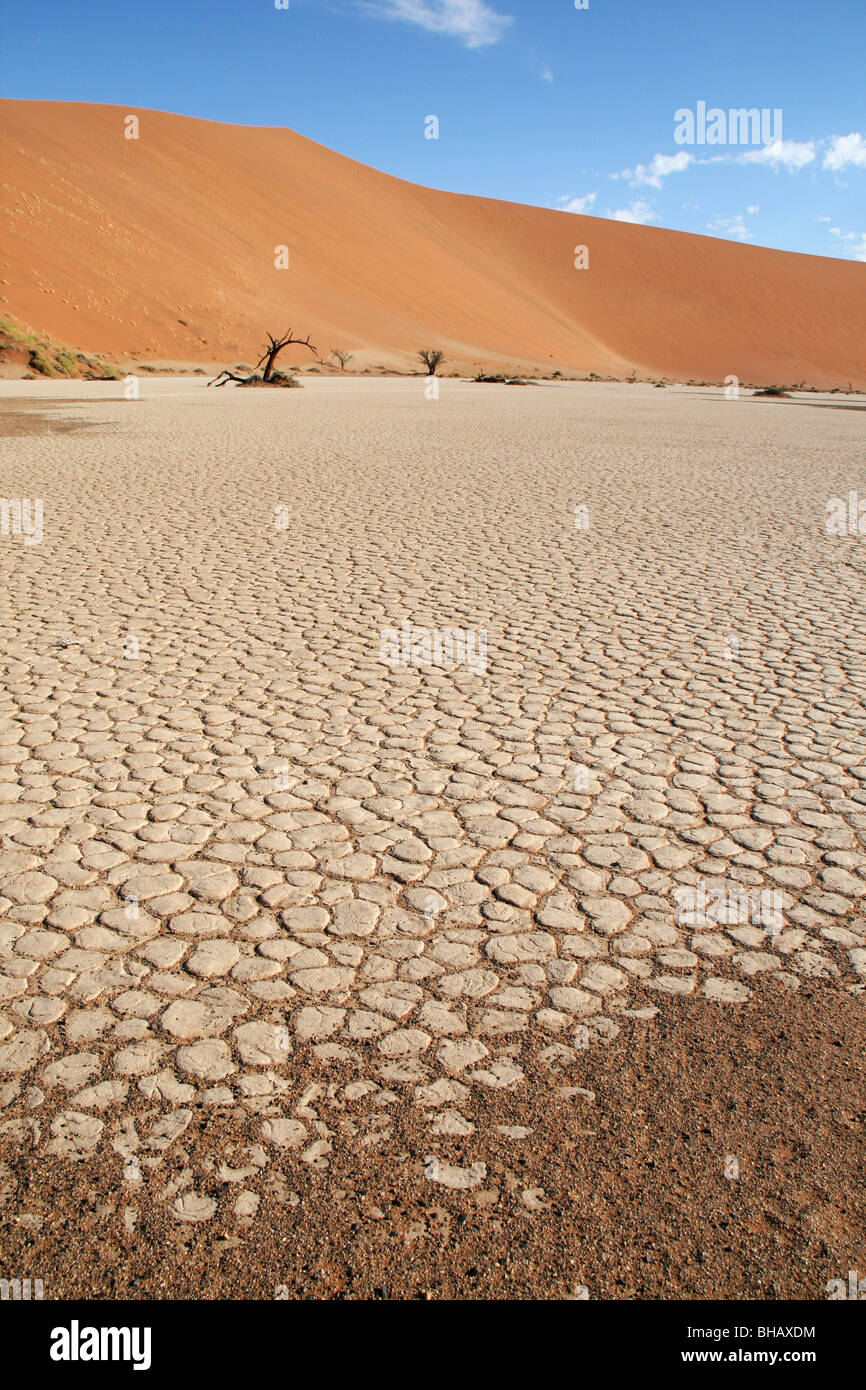 Hidden Vlei and Dead Vlei dried up lake beds which are now salt pans in the Namib desert Stock Photo