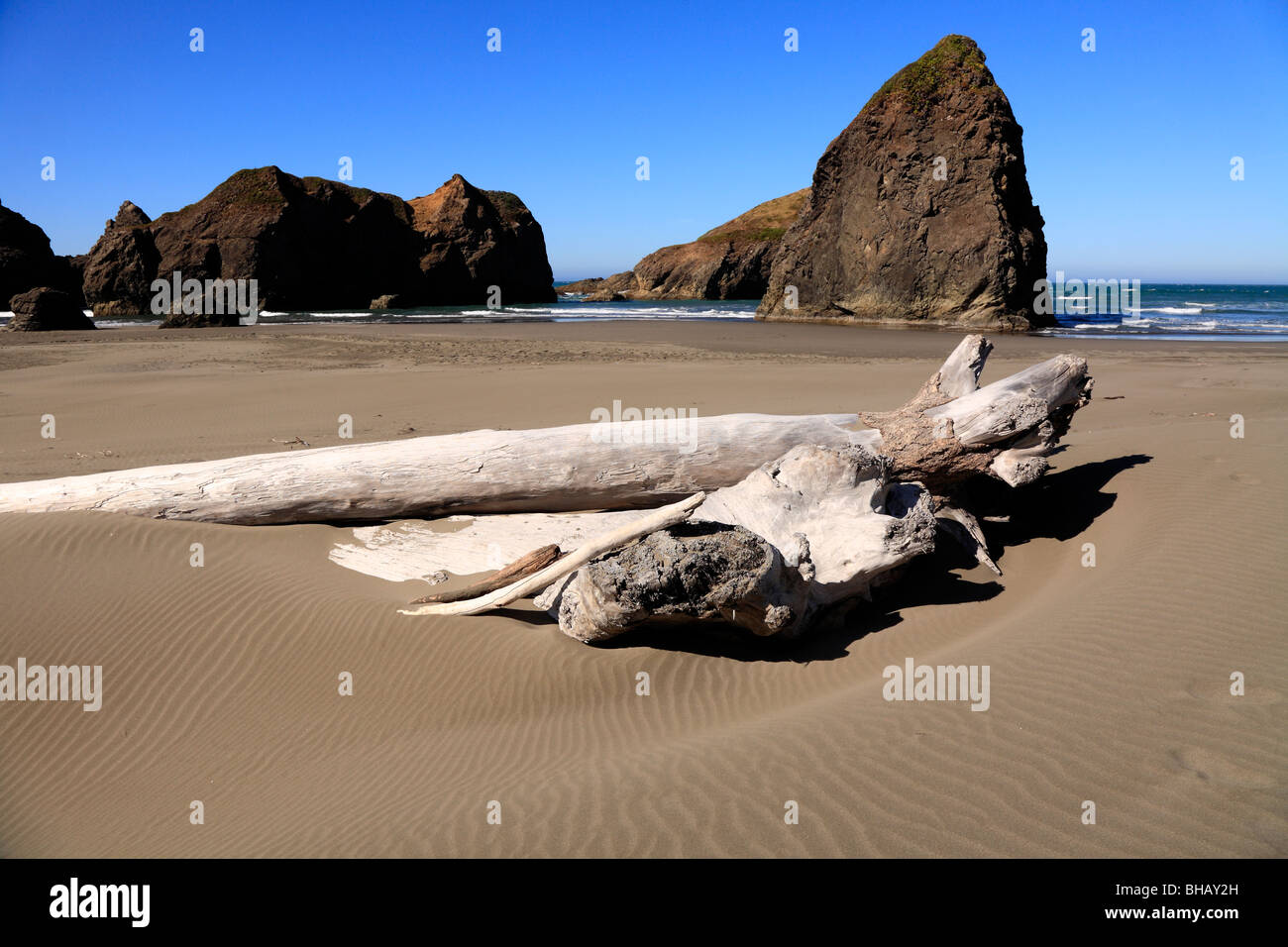 Drift Logs washed ashore on beach with sea stacks and rocky shores at Meyers Creek beach, Oregon, USA Stock Photo