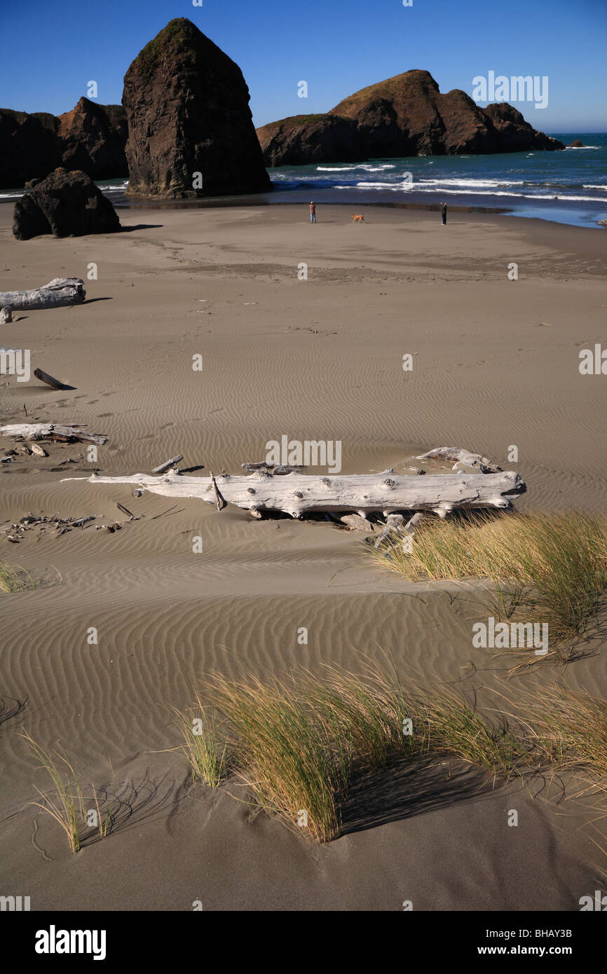 Two people and dog walking on beach with drift logs and rocky shore Oregon, USA Stock Photo