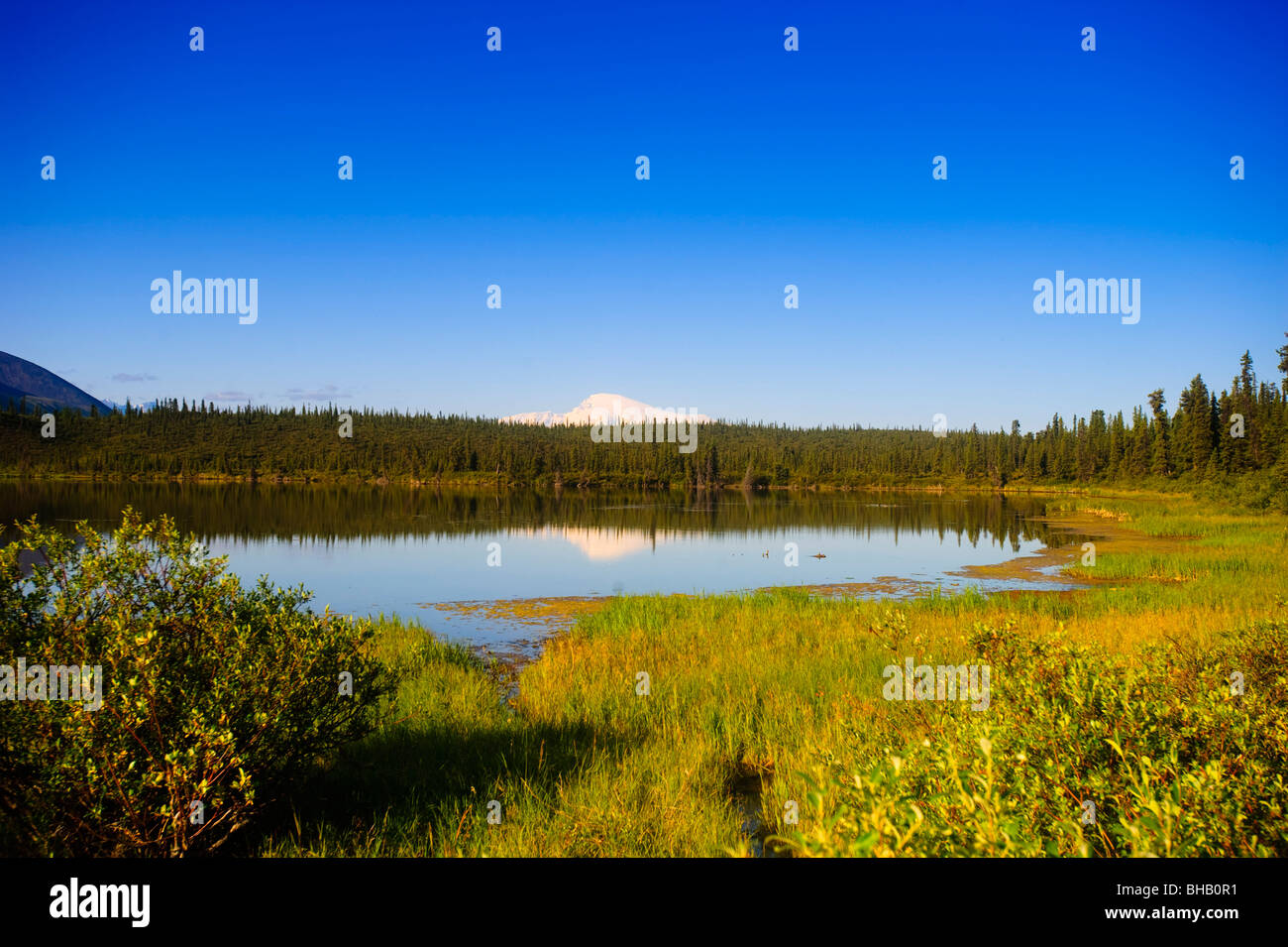 Twin Lakes Camp (Wrangell-St. Elias National Park and Preserve)Title