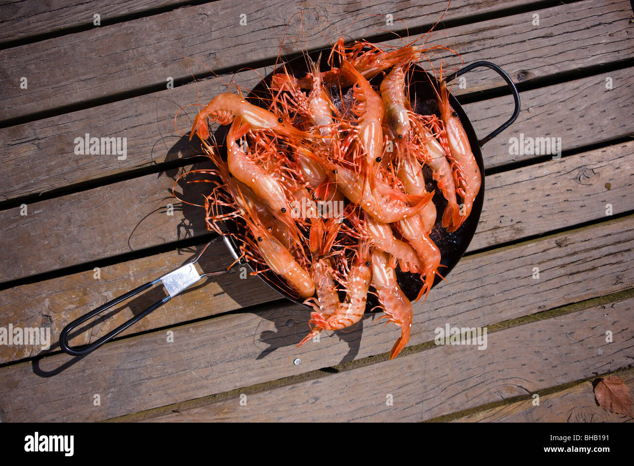 Fresh caught shrimp in a pan, Shoup Bay State Marine Park, Southcentral  Alaska, Summer Stock Photo - Alamy