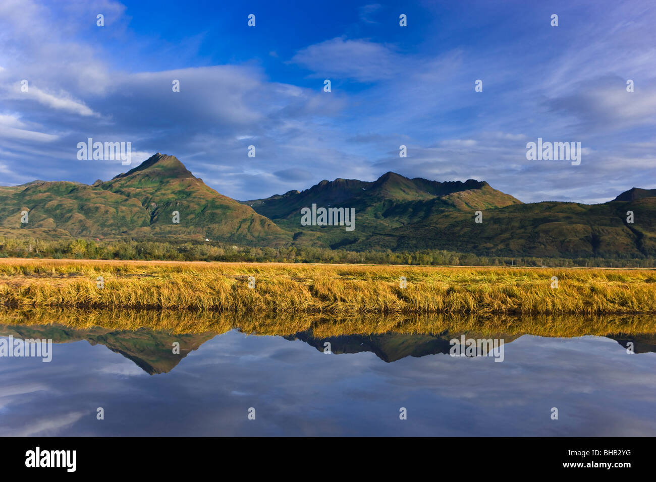 Scenic view of tidal slough along Womens Bay, Kodiak Island, Southwest Alaska, Fall Stock Photo