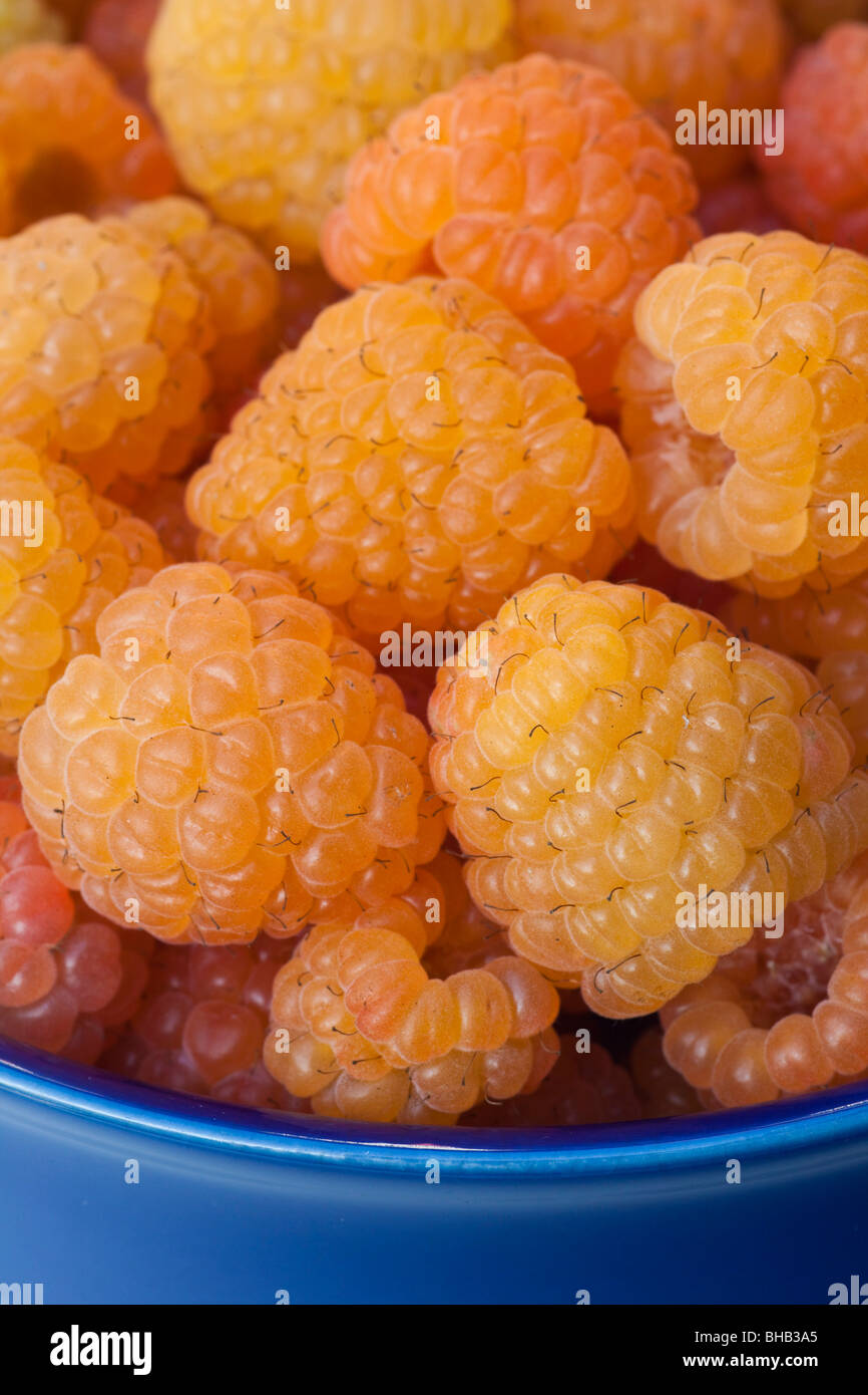 Alaska raspberries hires stock photography and images Alamy