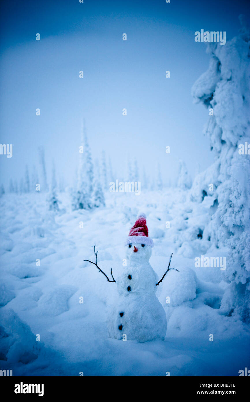 Snowman wearing a santa hat with hoarfrost covered sruce trees & fog in ...