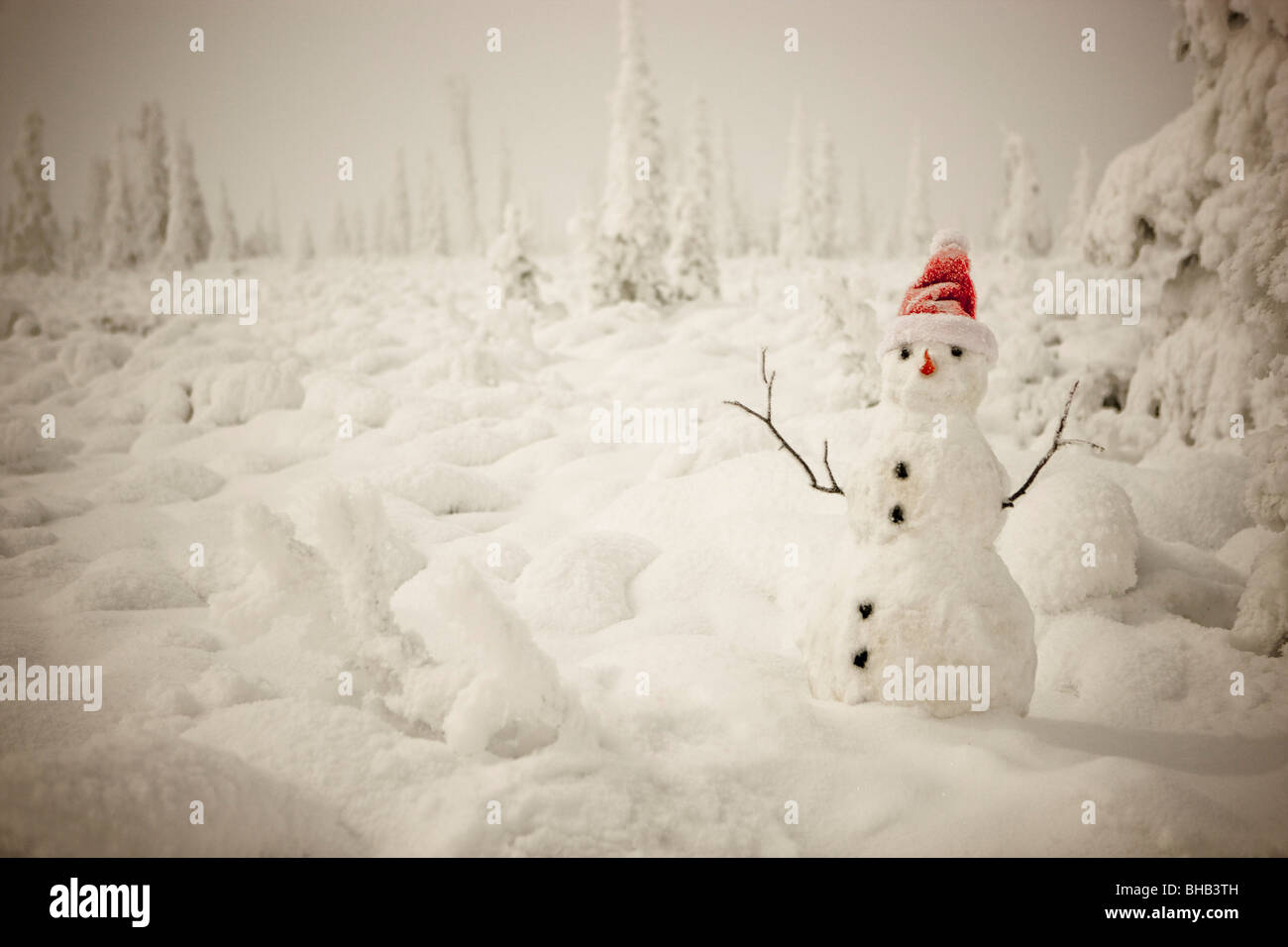 Snowman with red scarf and spruce forest, winter, wide angle from below, Anchorage, Alaska Stock Photo