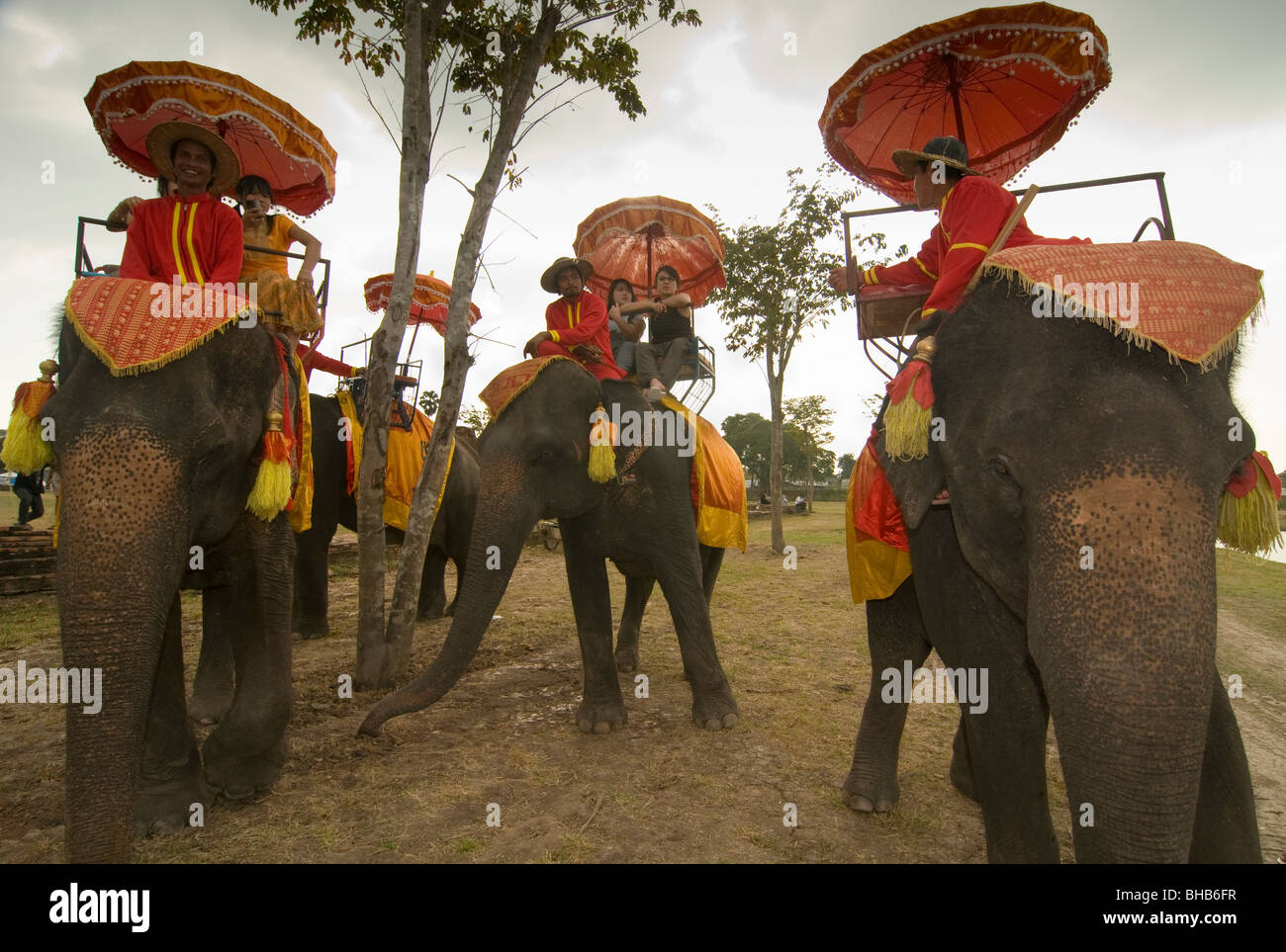 elephants and their mahouts at the UNESCO World Heritage temples in