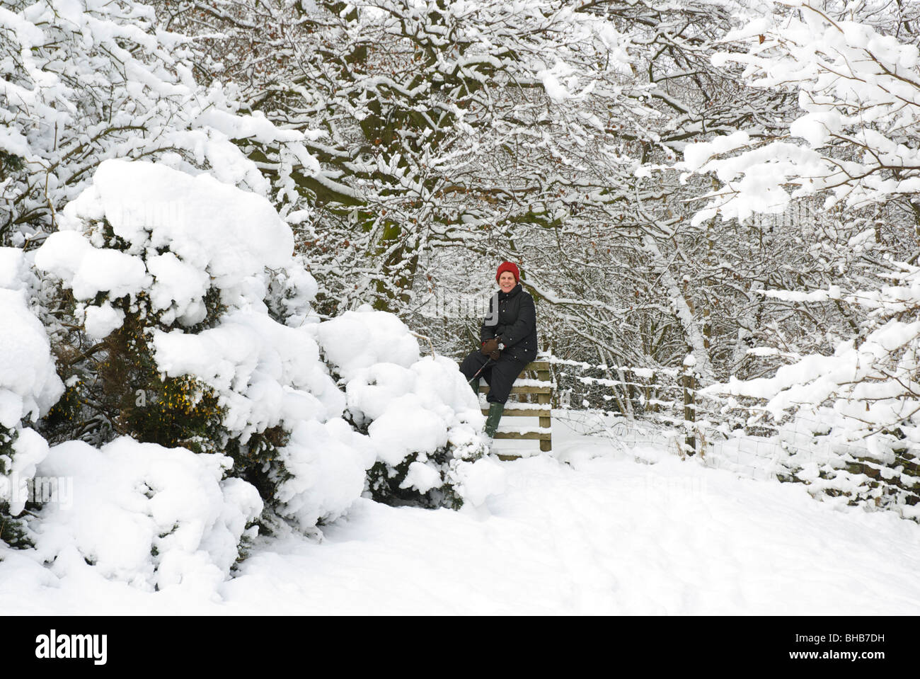 Woman sitting on stile in snowy wood near Beamsley, Wharfedale, North Yorkshire, England UK Stock Photo