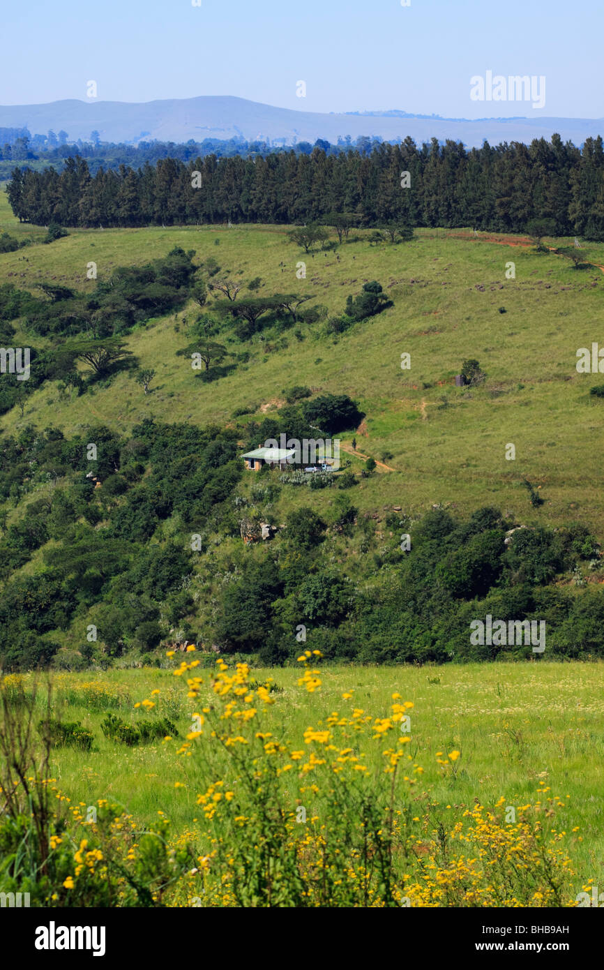 Isolated cabin in the African bush overlooking lush, fertile valley. Midlands, Kwazulu Natal, South Africa. Stock Photo
