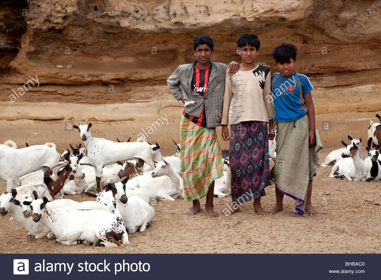 Arab Goat Stock Photos & Arab Goat Stock Images - Alamy