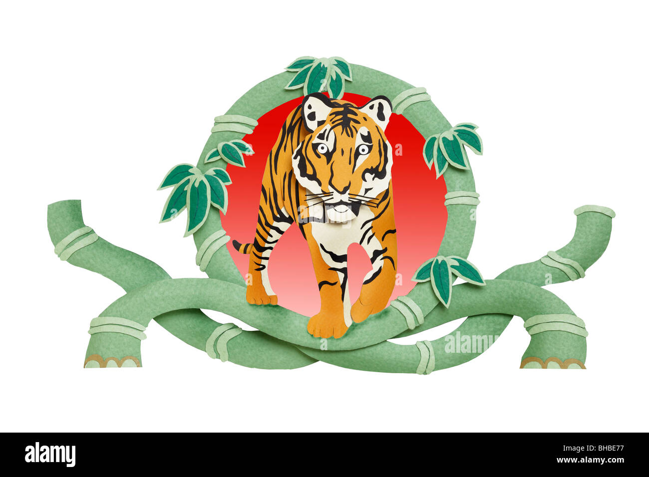 Tiger and bamboos on white background Stock Photo