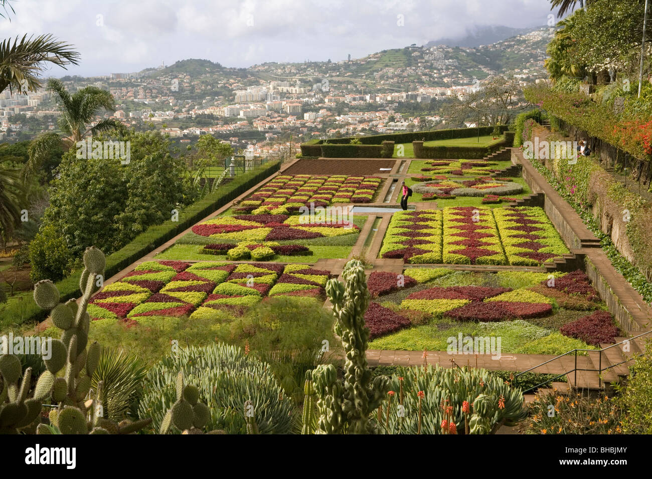 Portugal Madeira Funchal Botanic gardens Choreographed garden Stock Photo