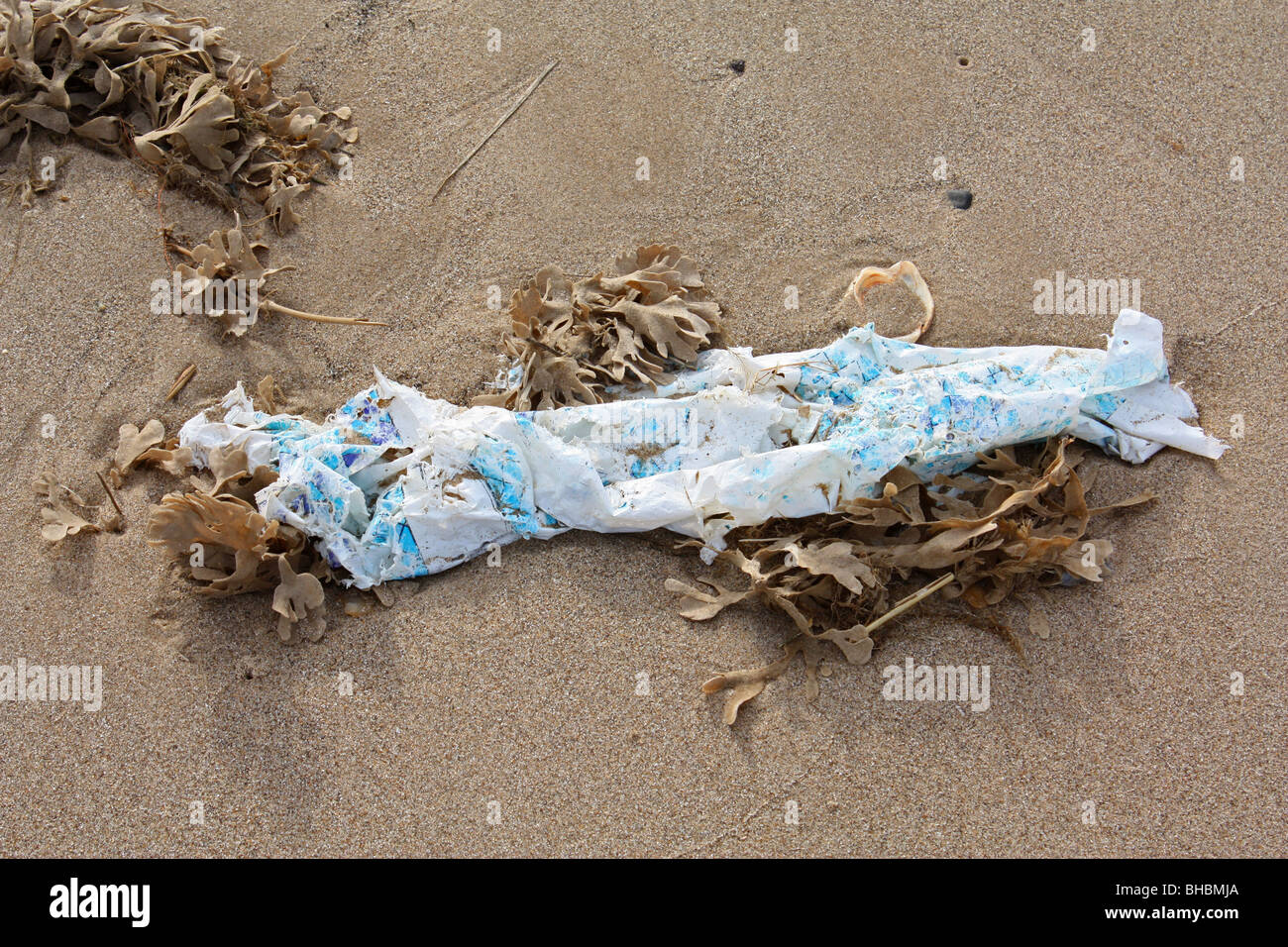 plastic bag and seaweed on a sandy beach Stock Photo Alamy