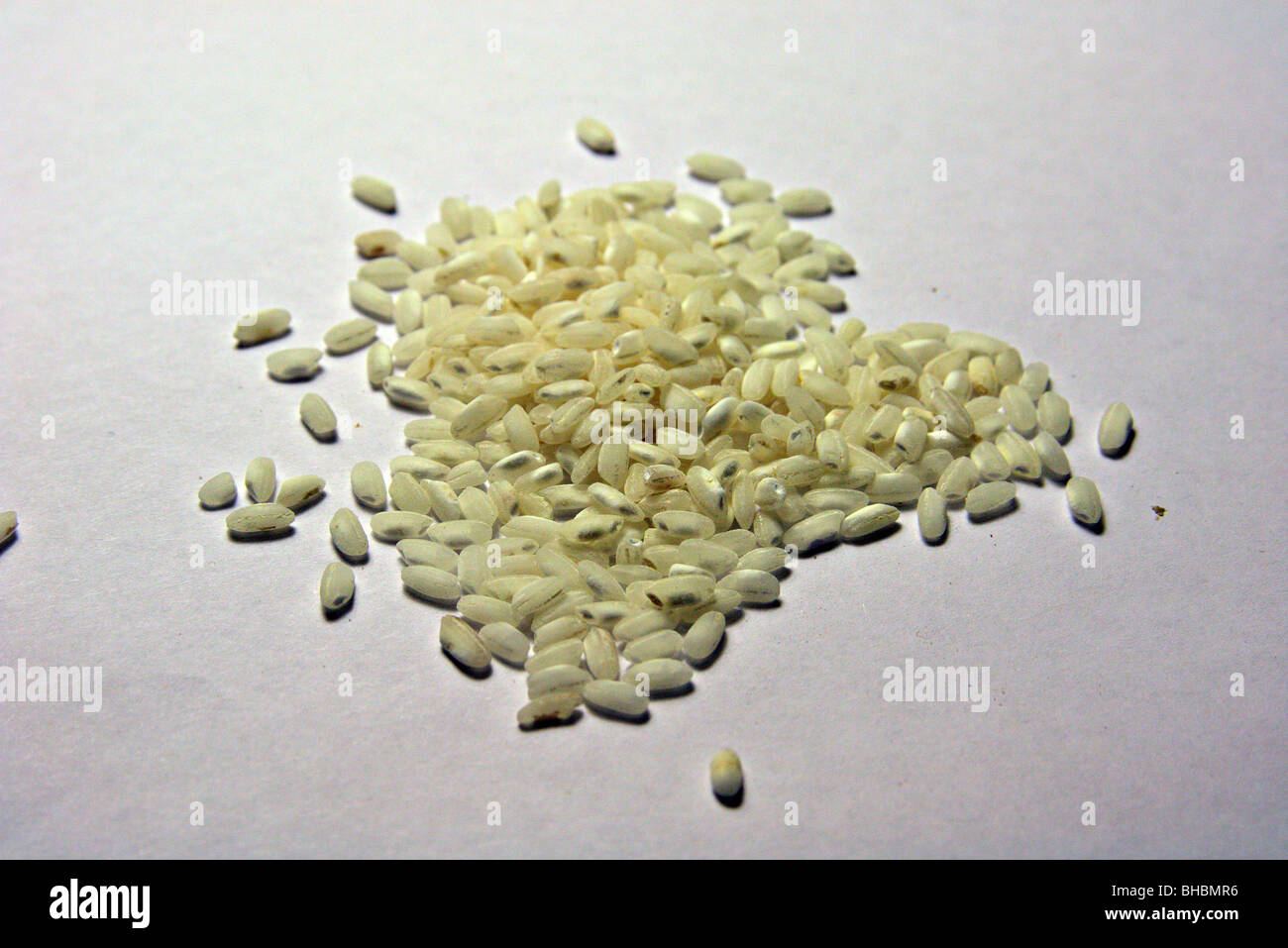 Arborio or pudding rice Stock Photo Alamy