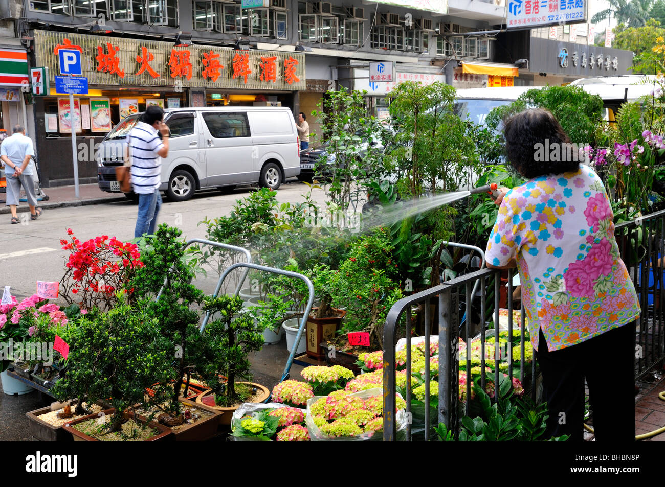 Flowers, plants and sellers among almost 50 odd flower shops and market