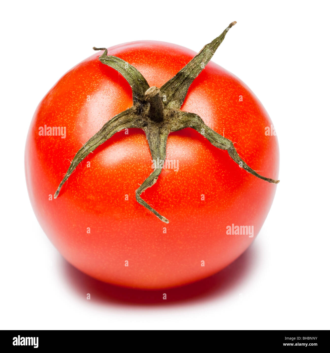 Tomato with part of vine attached Stock Photo