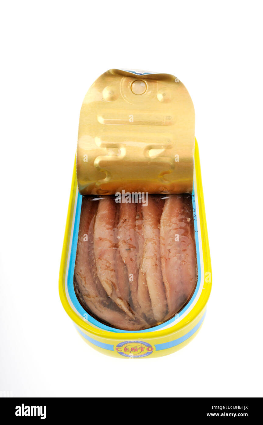 Fillets of anchovies in open tin on white background cut out. Stock Photo