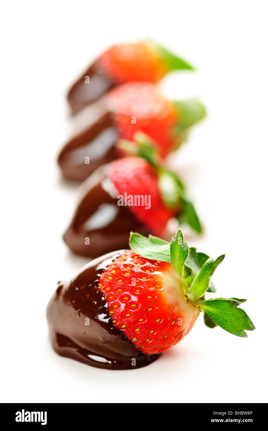 Row of strawberries dipped in delicious chocolate isolated on white Stock Photo