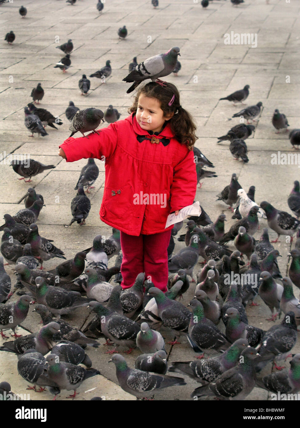 young girl pigeon on head feeding venice Italy St Marks tourism fun Stock Photo
