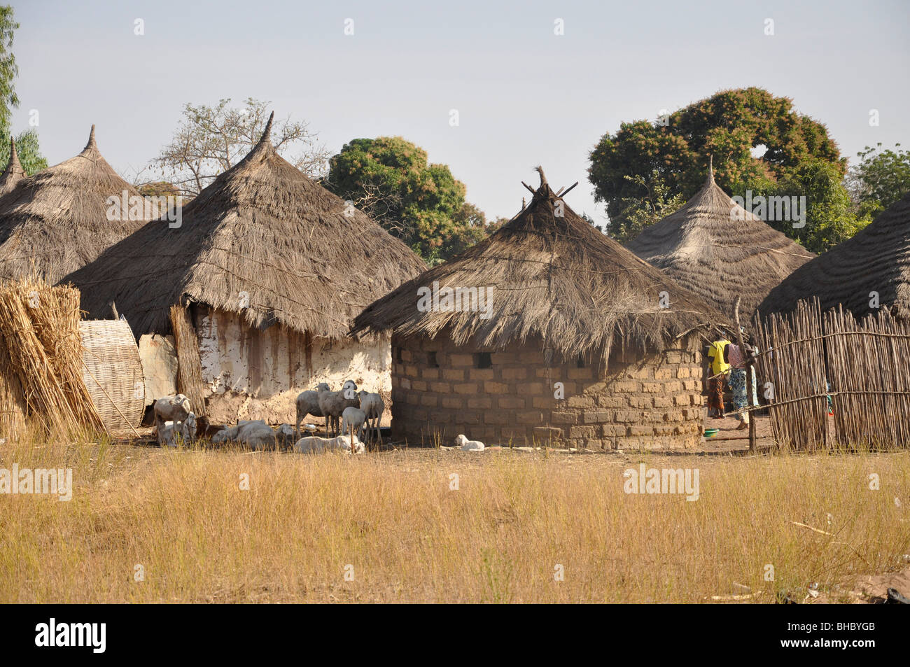 Most people live in the countryside in The Gambia Stock Photo Alamy