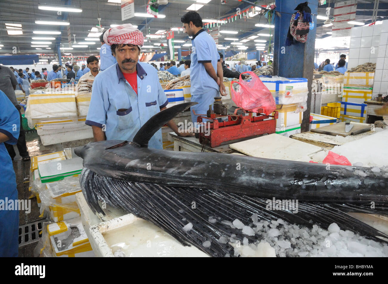 Dubai fish market, United Arab Emirates Stock Photo Alamy